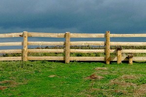 Fencing