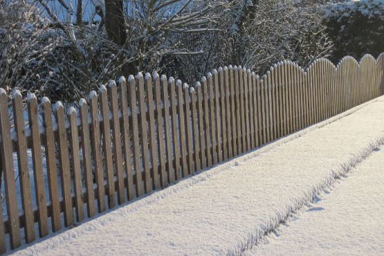 Wooden fence